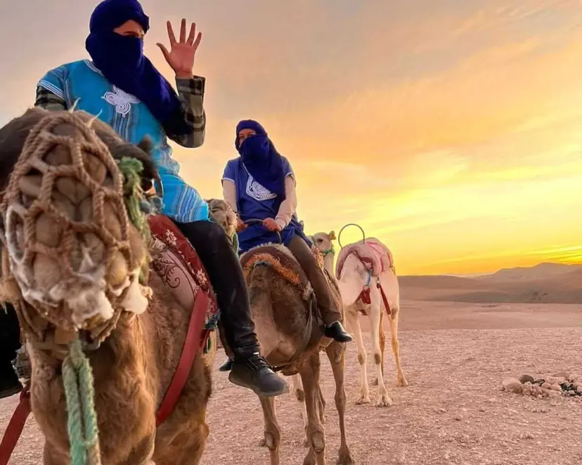 Adventure & Desert Tours
